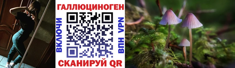 Псилоцибиновые грибы Magic Shrooms  площадка клад  Находка 